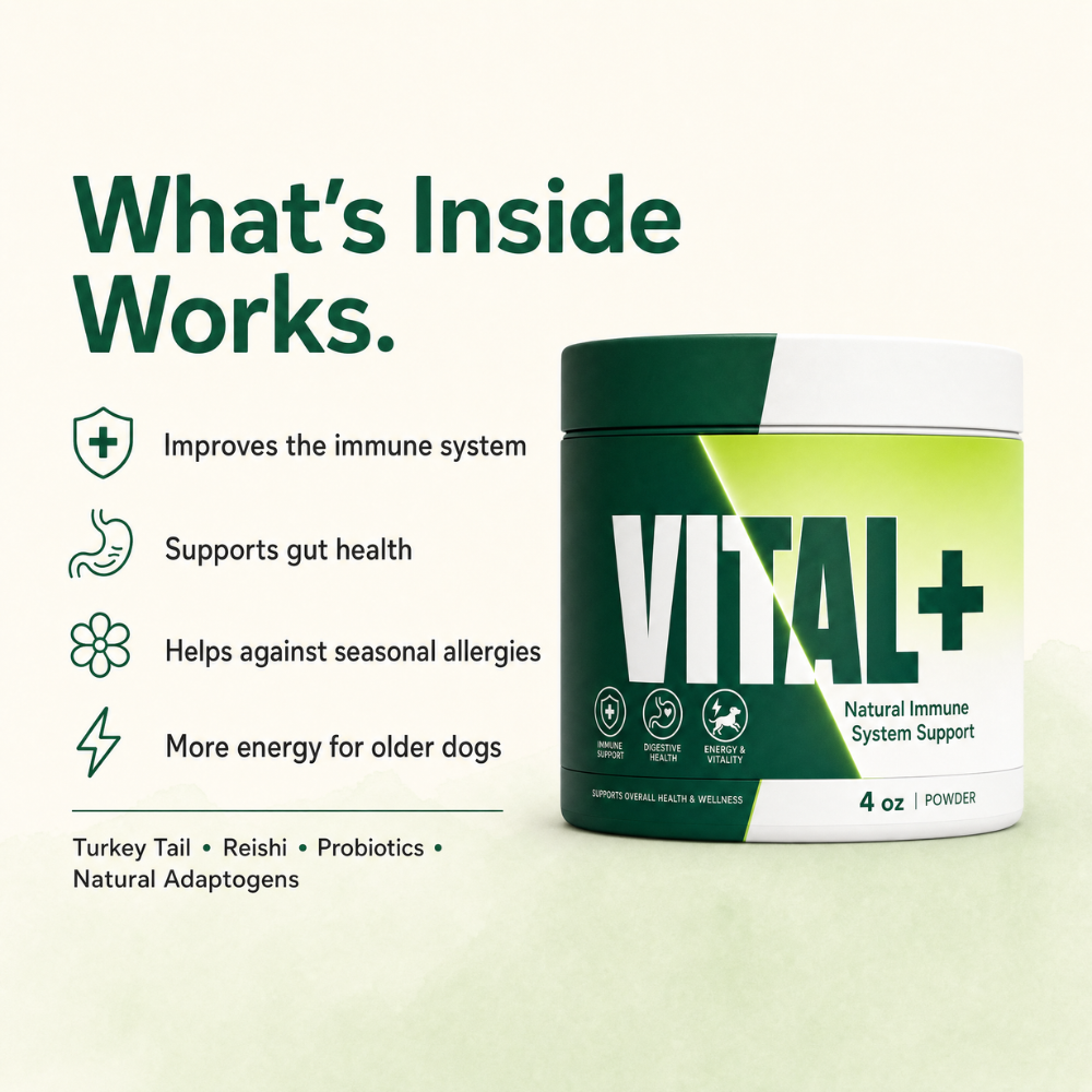 VITAL+ | Natural immune system support