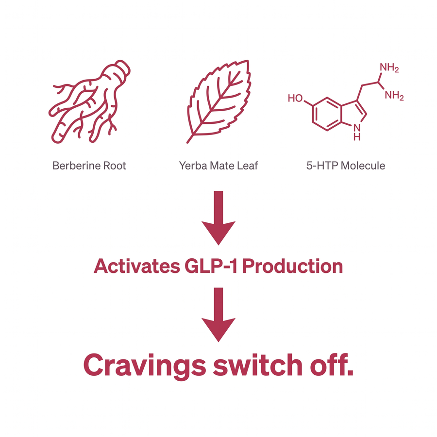 Nobody told you there's a molecule that switches cravings off